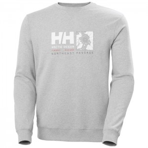 Férfi Helly Hansen Arctic Ocean Sweat Pulóverek Szürke | AZX-817236