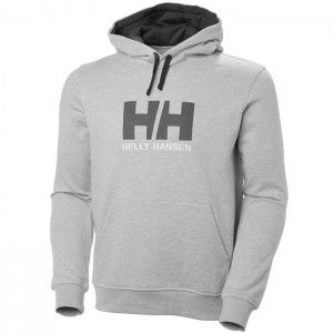 Férfi Helly Hansen Hh Logo Csuklyás Pulóverek Szürke | CGW-195670