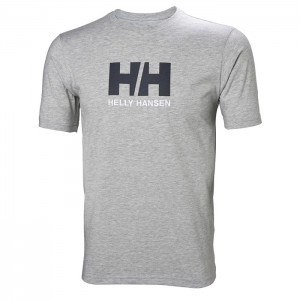 Férfi Helly Hansen Hh Logo Póló Szürke | WBA-028165