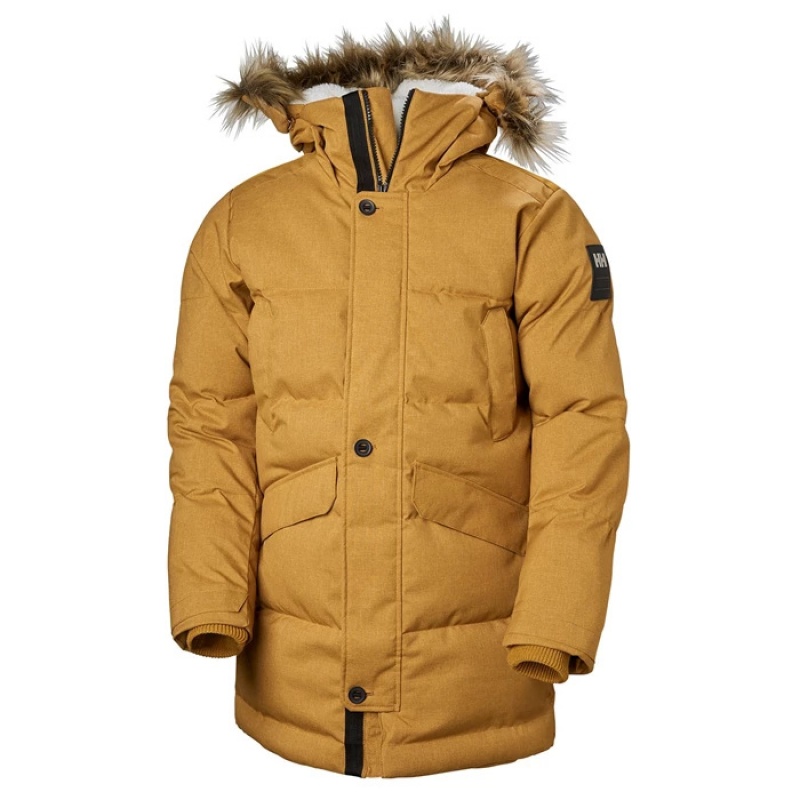 Férfi Helly Hansen Barents Parka Dzsekik Barna | BEA-742501