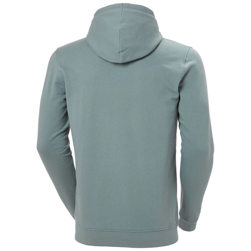 Férfi Helly Hansen Nord Grafika Pull Over Csuklyás Pulóverek Szürke | KJR-058762